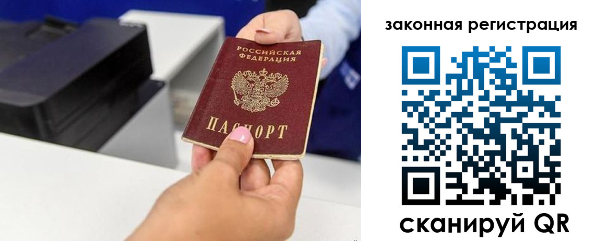 прописка для школы в Ленинградской области